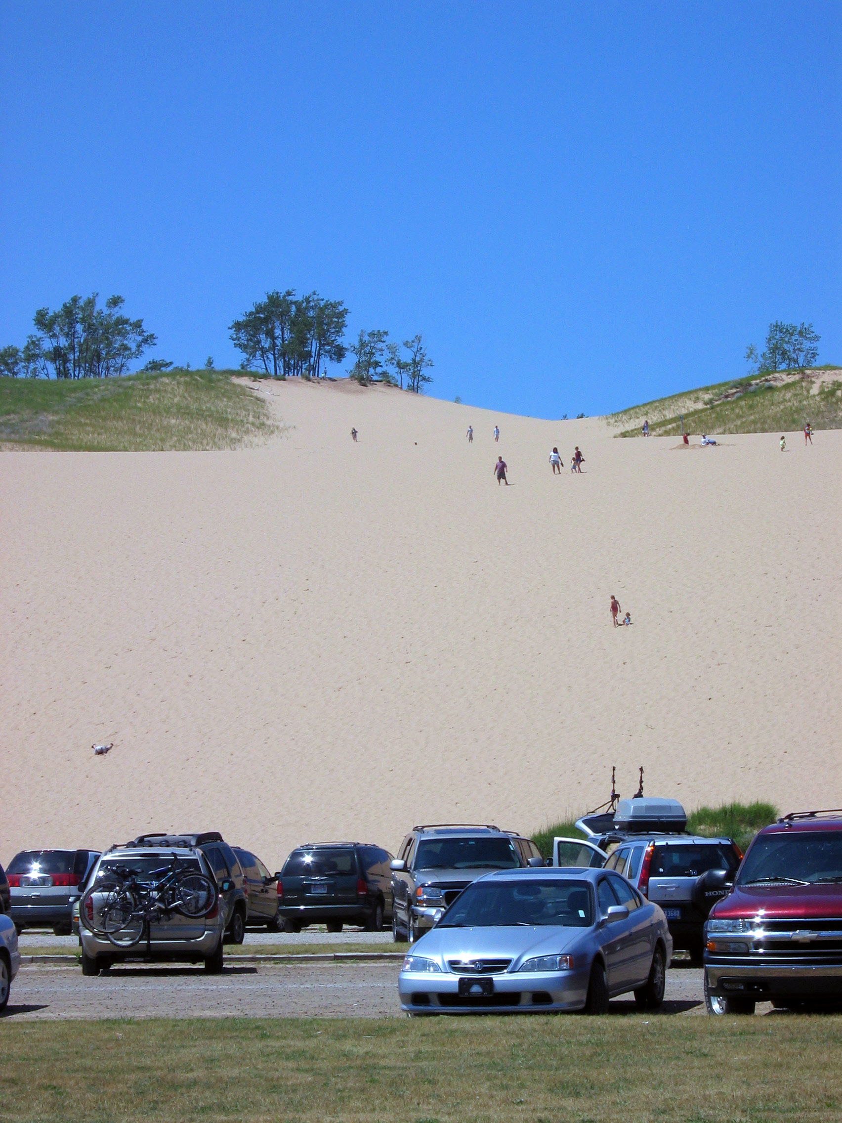 Looking up from the Climbing Dunes